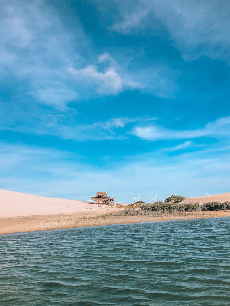 Caminho para chegar na Ilha das Ostras, moitas